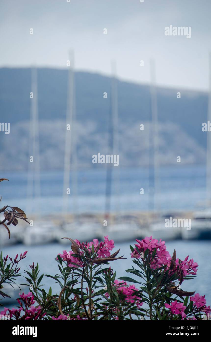 Dubrovnik, Segeltour an der Adriaküste im historischen Hafen von Trogir, Gespanschaft Split-Dalmatien, Kroatien, Stockfoto