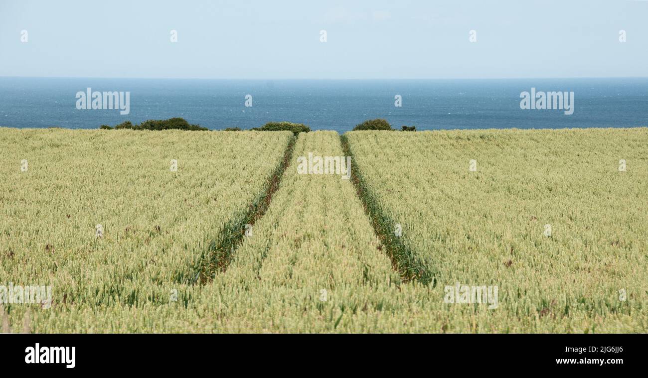 Rund um Großbritannien - Cleveland Way, North Yorkshire Stockfoto