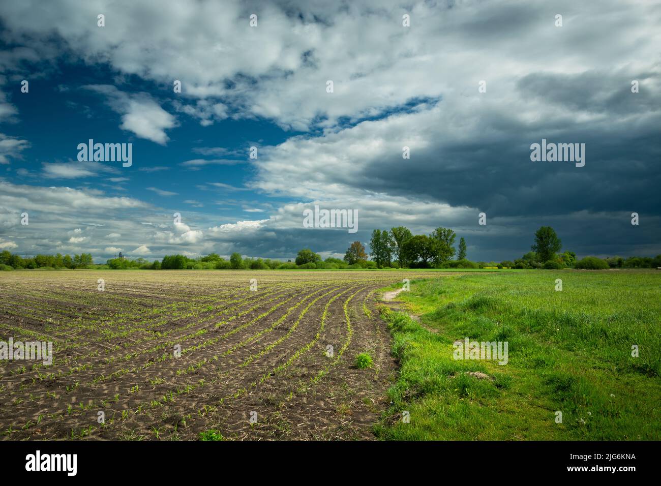 Gesät ländlichen Feld und kommenden wolkigen Himmel, Blick auf den Frühling Stockfoto