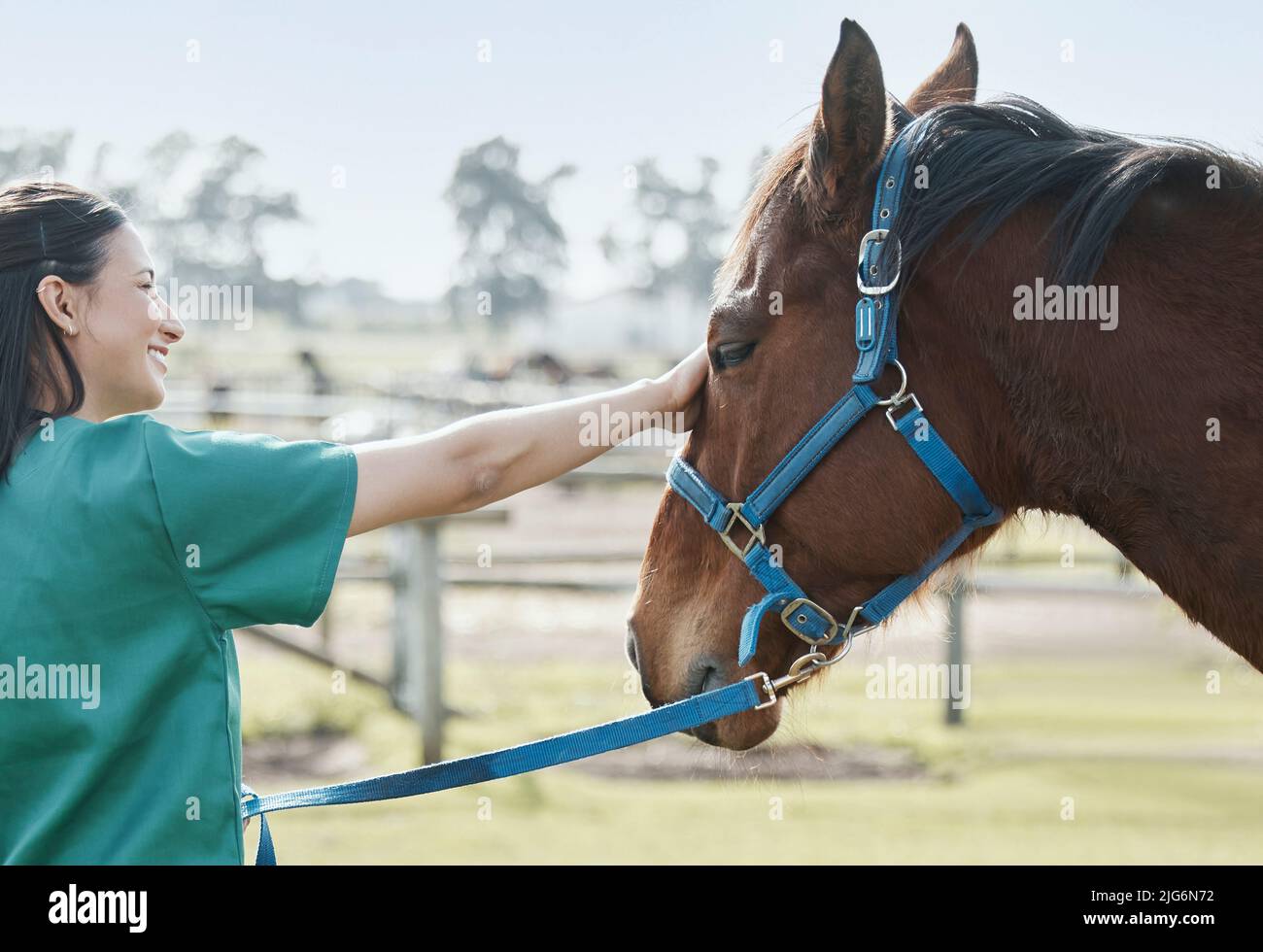 Wie fühlen Sie sich. Aufnahme eines attraktiven jungen Tierarztes, der allein steht und sich auf einem Bauernhof um ein Pferd kümmert. Stockfoto