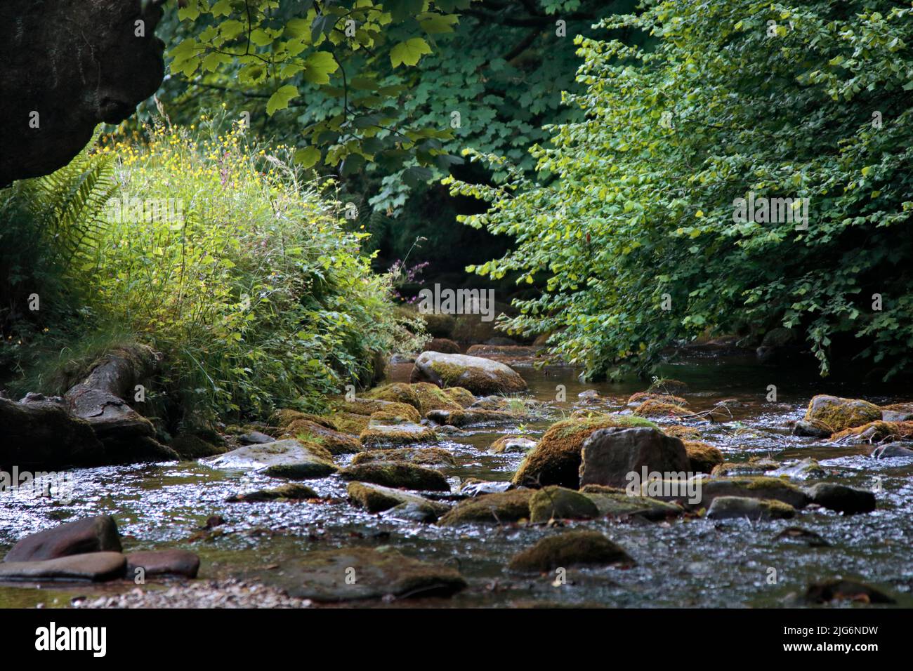 River Clywedog bei Nant Mill, Coedpoeth, Wales Stockfoto