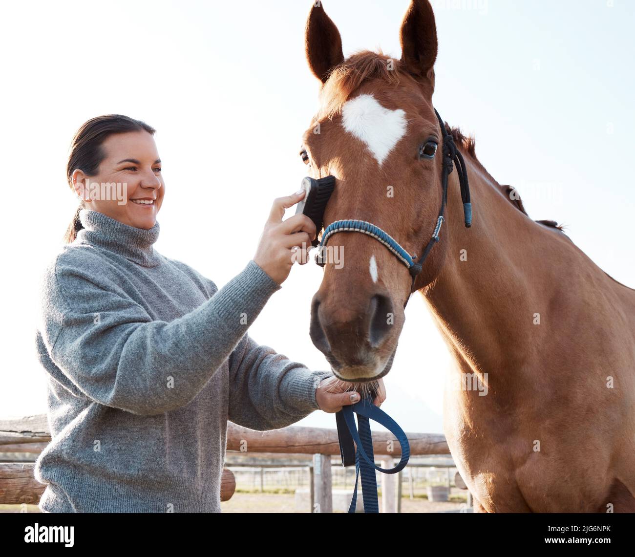 Es gibt nichts lebendiges, ganz so schön wie ein Pferd. Aufnahme einer attraktiven jungen Frau, die ihr Pferd auf einer Ranch putzt. Stockfoto