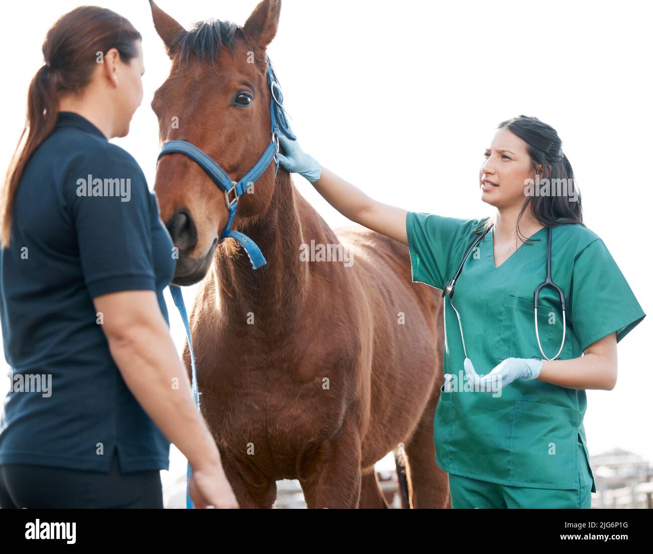 Hat er normal gegessen? Aufnahme eines attraktiven jungen Tierarztes, der mit einem Pferd und seinem Besitzer auf einem Bauernhof steht. Stockfoto
