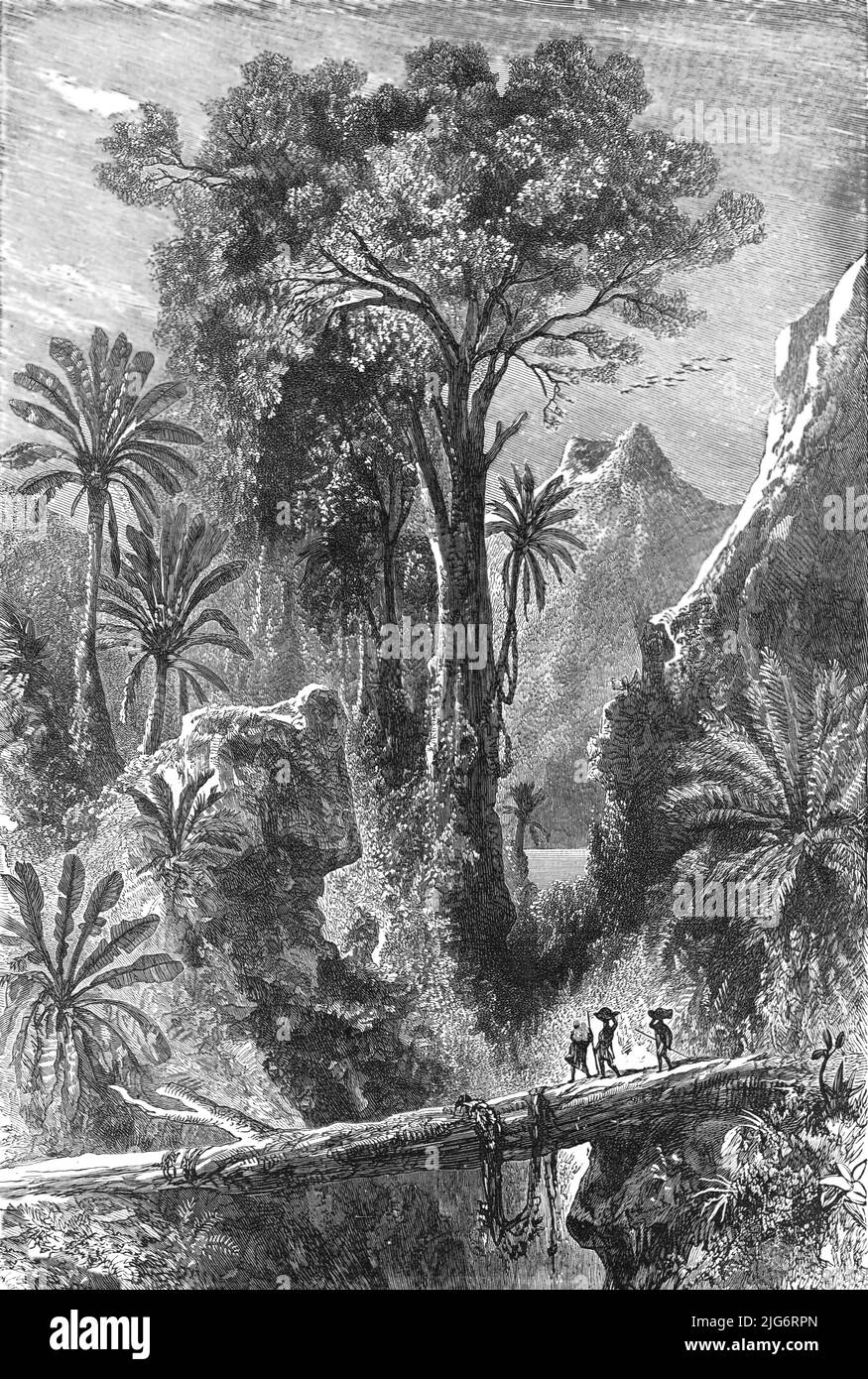 „Auf dem Weg nach Tananarivo; jüngste Erkundungen in Madagaskar“, 1875. [Fußgängerbrücke in Ostafrika]. Aus, 'Illustrated Travels' von H.W. Bates. [Cassell, Petter, and Galpin, c1880, London] Belle Sauvage Works.London E.C. Stockfoto