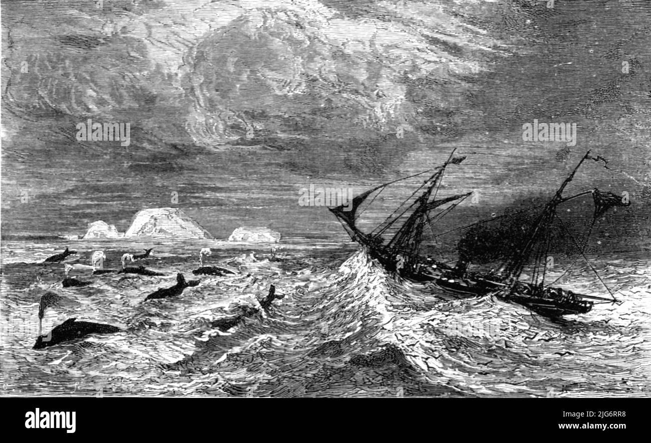 „In the Inmitten of „Leviathan.“; A Boat Adventure in the Behring's Sea“, 1875. [Dramatische arktische Szene mit Walen und Segelschiffen in rauer See]. Aus, 'Illustrated Travels' von H.W. Bates. [Cassell, Petter, and Galpin, c1880, London] Belle Sauvage Works.London E.C. Stockfoto
