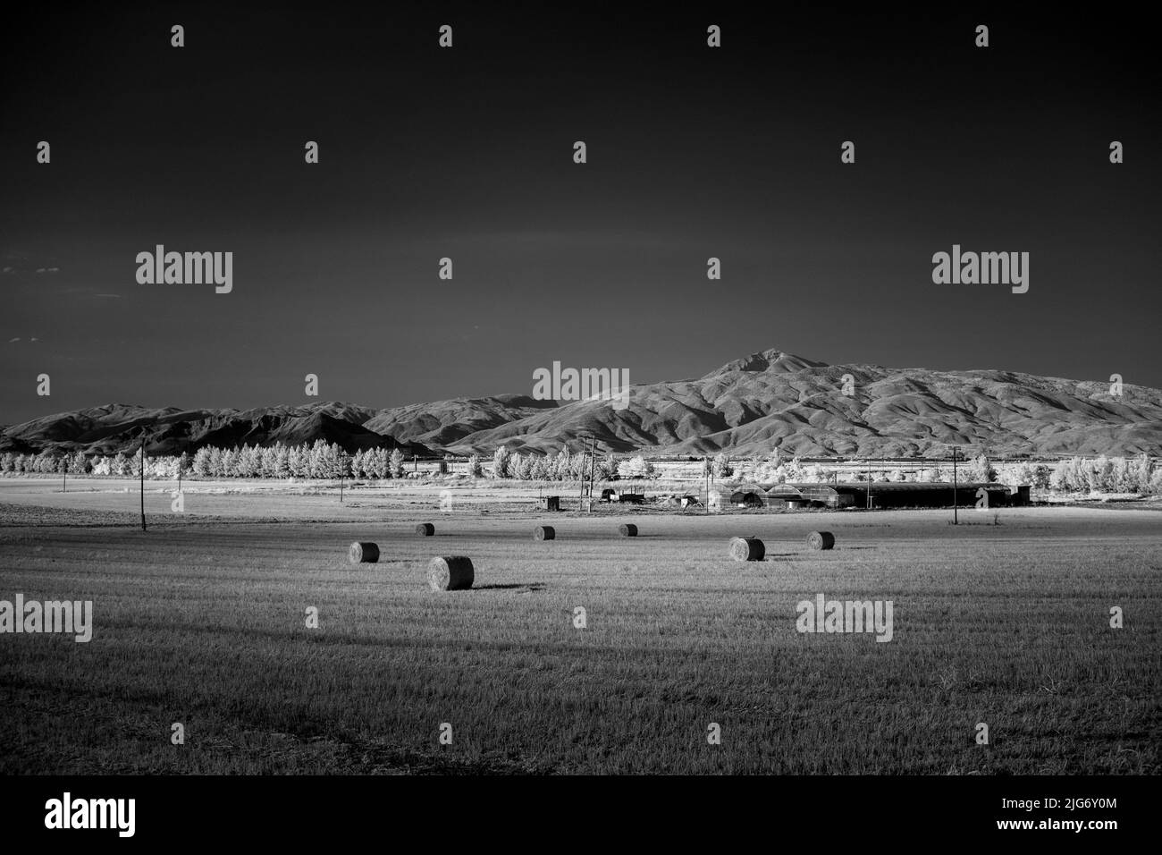 Infrarote schwarz-weiße ländliche Landschaft Stockfoto