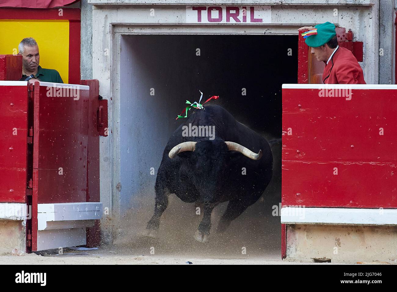 Ein Stier während eines Stierkampfes beim San Fermin Festival in Pamplona, Nordspanien, 7. Juli 2022 (Foto: Ruben Albarran / PRESSINPHOTO) Stockfoto