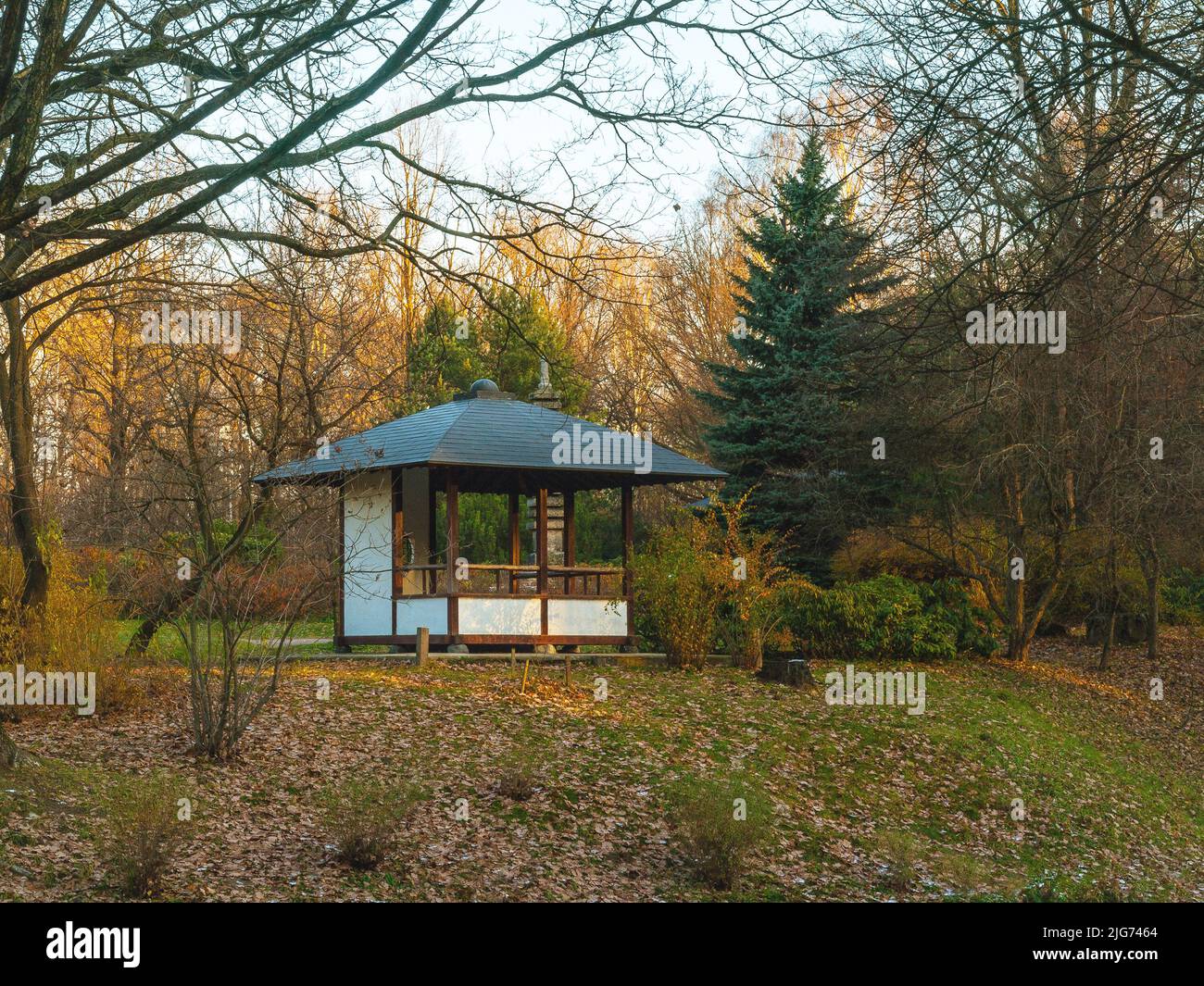 Japanischer Garten mit Holzpavillon, Landschaftsgestaltung Stockfoto
