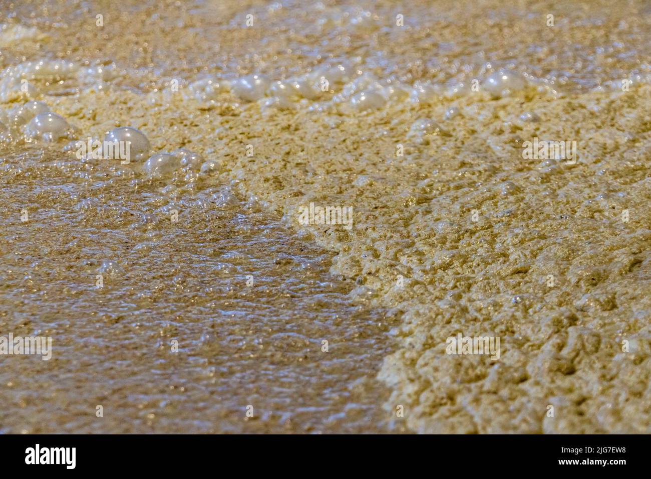 Die Hefefermentation entwickelt Blasen in einem Whiskey-Bottich. Stockfoto