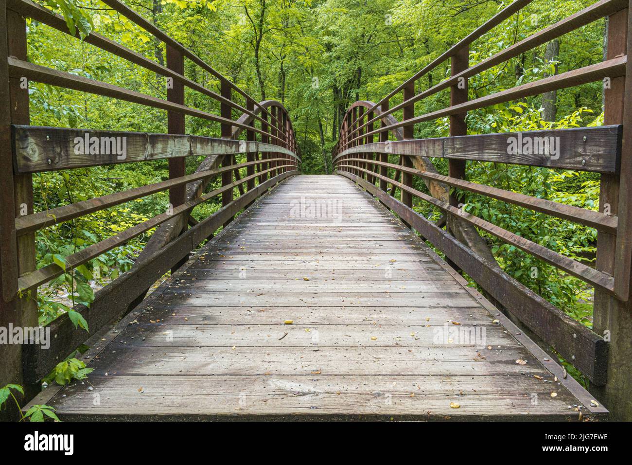Einladender rustikaler Metallsteg, umgeben von einem grünen Wald. Stockfoto