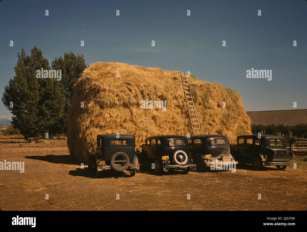 Heustapel und Automobil von Pfirsichpflücker, Delta County, Colorado. Stockfoto