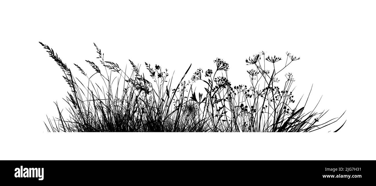 Hintergrund Gras natürliche Silhouette. Vektorgrafik Stock Vektor