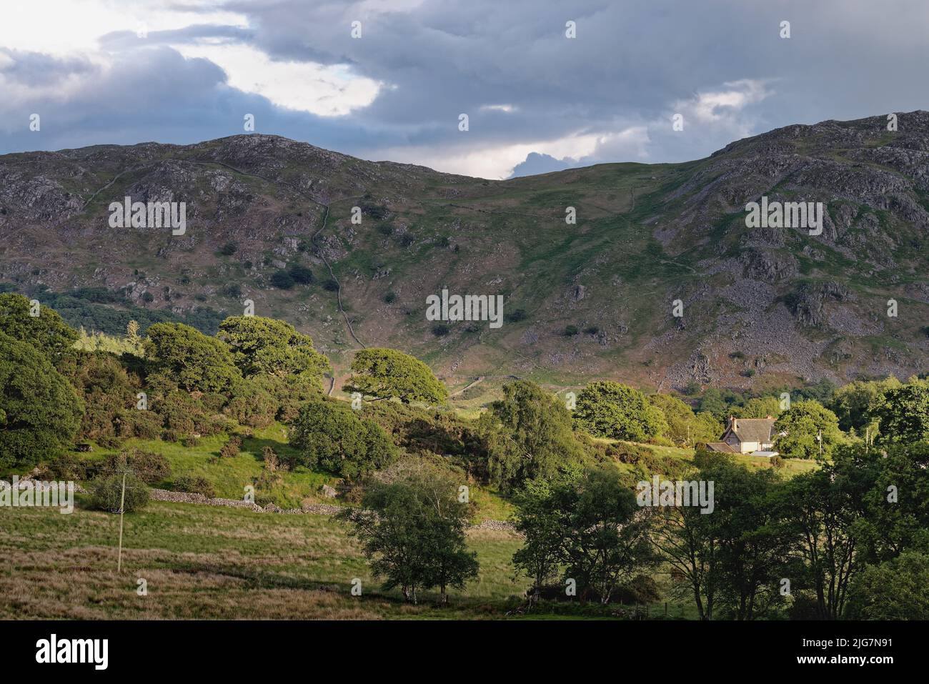 Der Blick von Eskdale Green auf Brantrake Crags and Fells an einem Sommerabend Lake District National Park Cumbria England Stockfoto