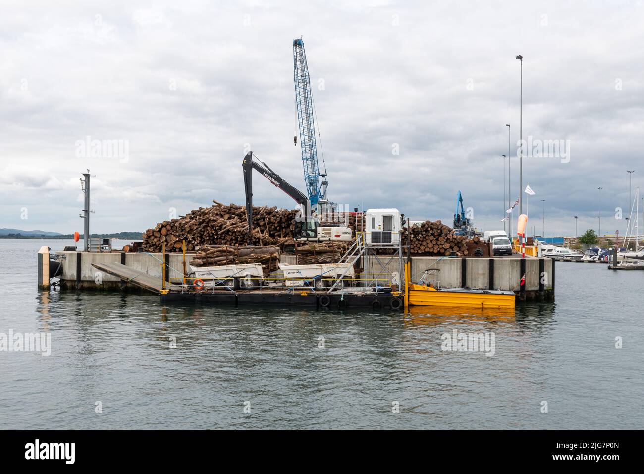 Hafen von Poole, mit großem Holzstapel, Import-Export-Geschäft, Dorset, England, Großbritannien Stockfoto