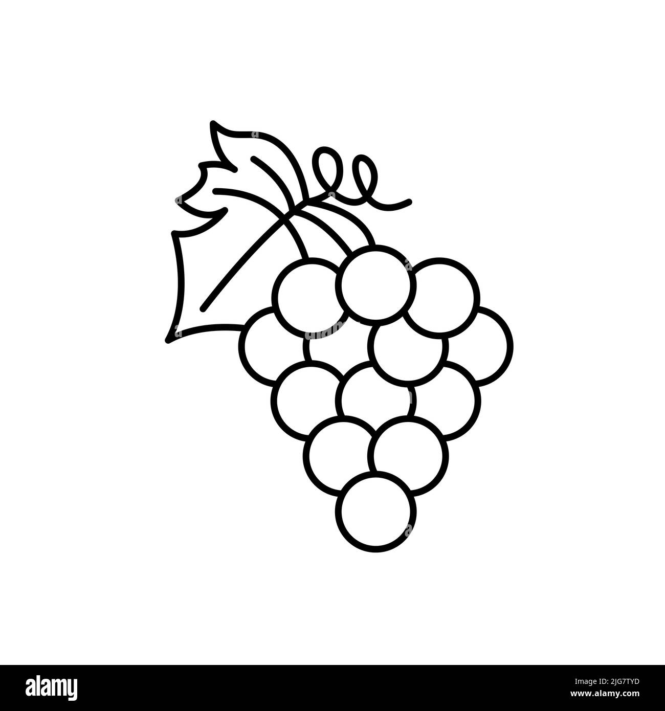 Traubenhaufen dünne Linie schwarzes Symbol. Vektor EPS 10. Einfaches Fruchtsymbol auf Weiß. Isoliertes Piktogramm. Trendige flache Schild für frische Illustration, Logo, Stockfoto