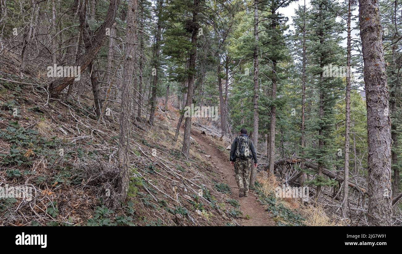 Rückansicht eines Mannes mit Rucksack Wandern im Cibola National Forest, New Mexico Stockfoto