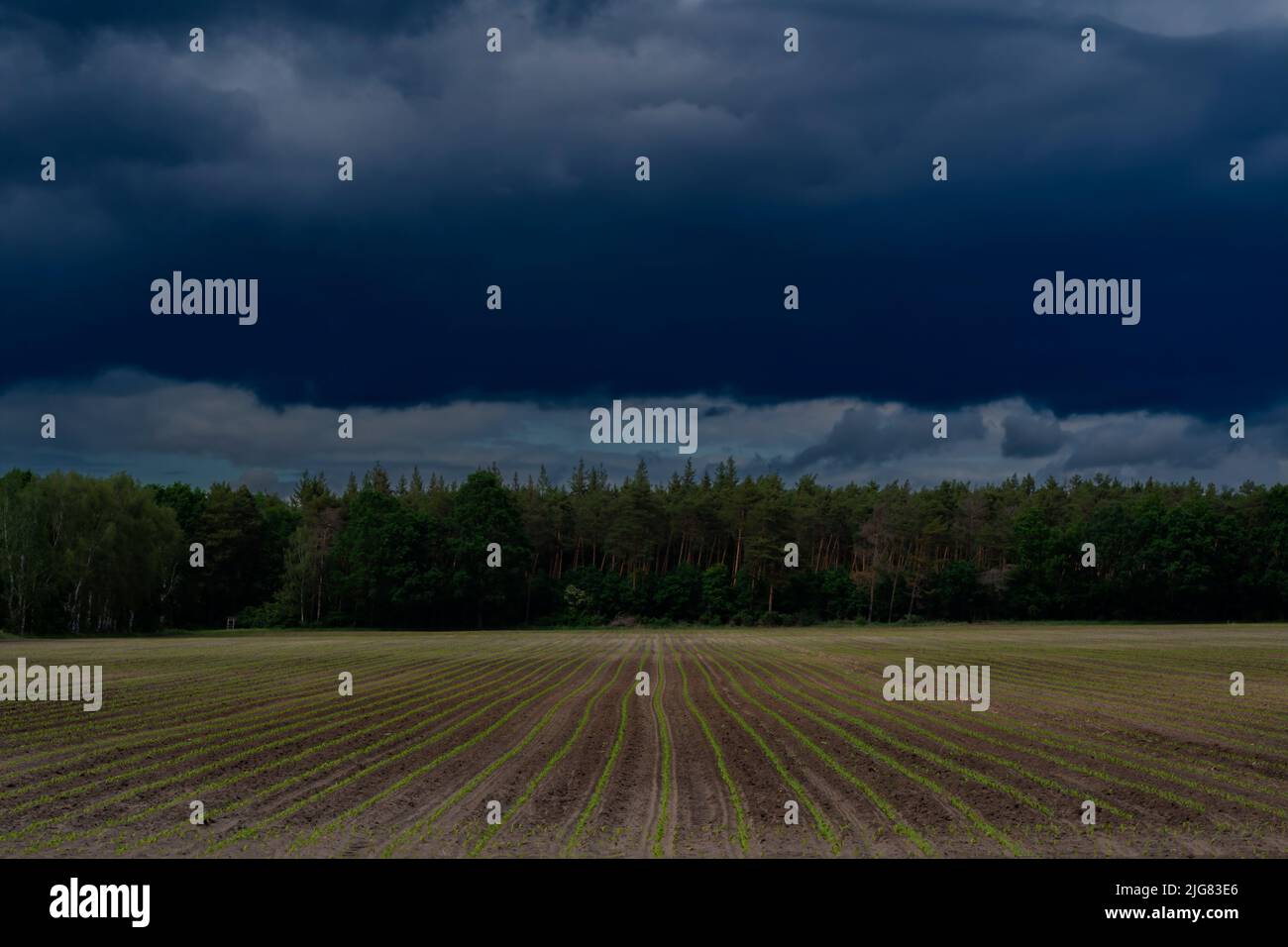 Extreme Regenwolken kurz vor einem starken Sturm im Frühjahr Stockfoto