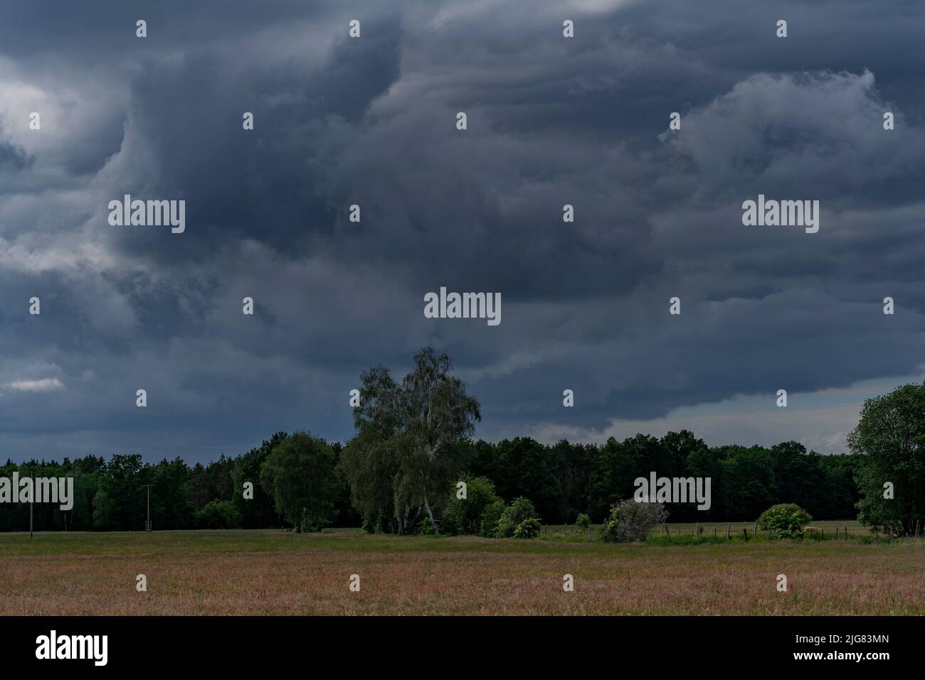 Große Regenwolken über einem landwirtschaftlichen Gebiet kurz vor einem schweren Sturm Stockfoto