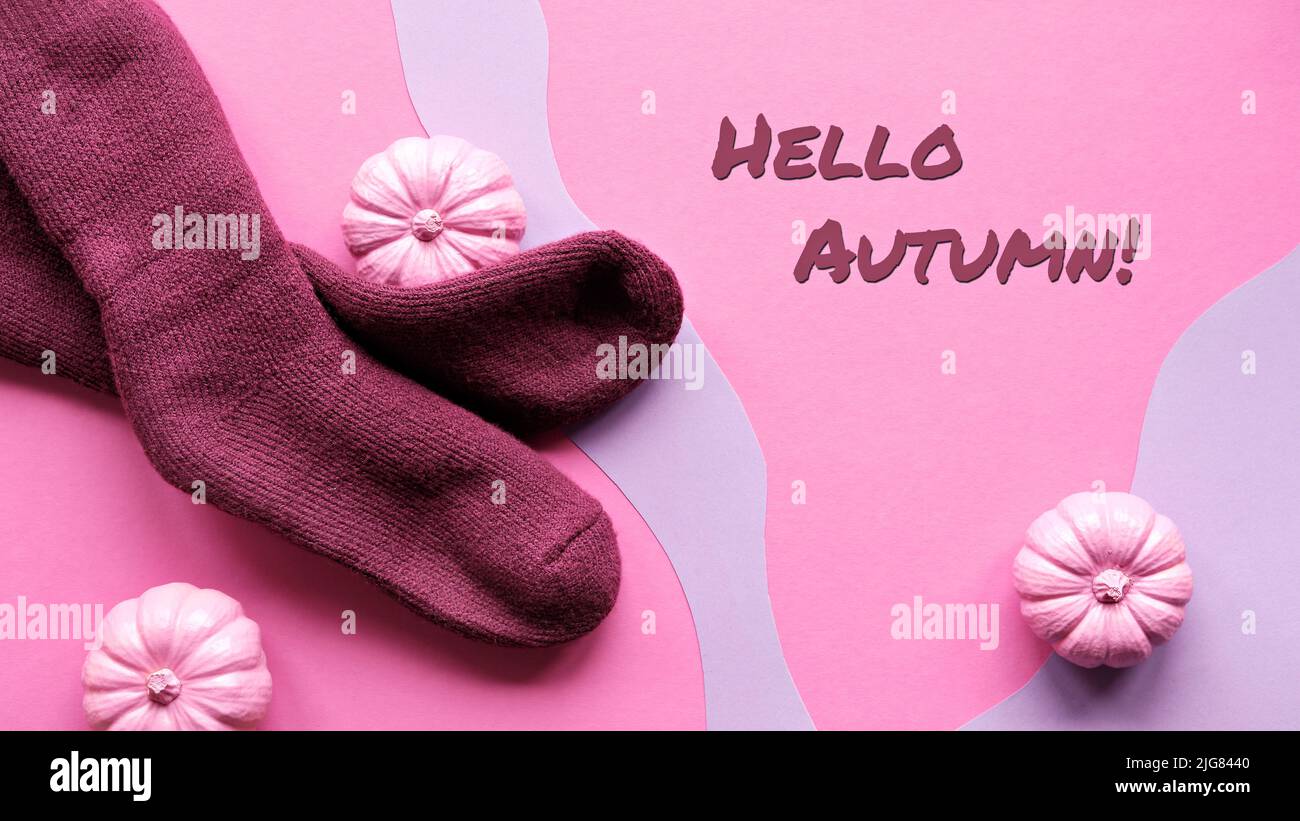 Dekorative Herbstkürbisse und warme Socken. Hallo Herbst Text auf rosa und lila Papier Hintergrund. Stockfoto