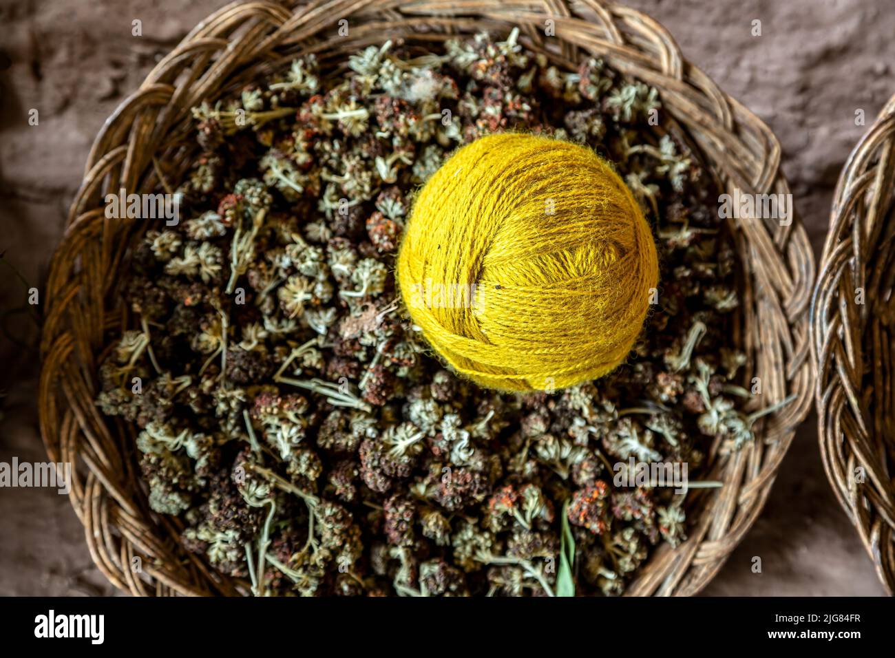 Gelbe Kugel aus Garn und Zutat, die es produziert, El Balcon del Inka Webergeschäft, Chinchero, Cusco, Peru Stockfoto