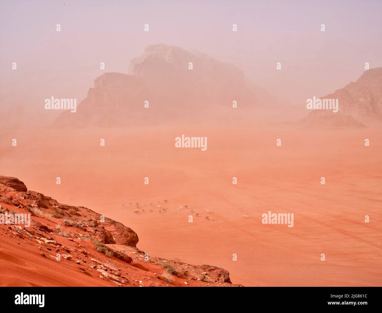 Petra, Stadt der Nabatäer, Jordanien. Stockfoto