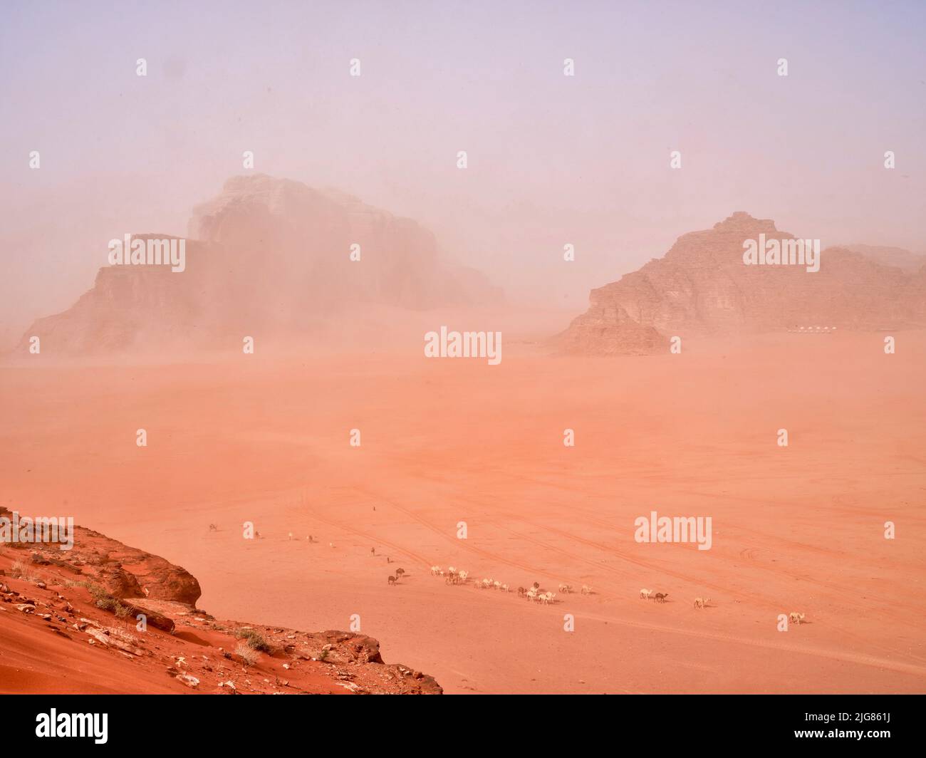 Petra, Stadt der Nabatäer, Jordanien. Stockfoto
