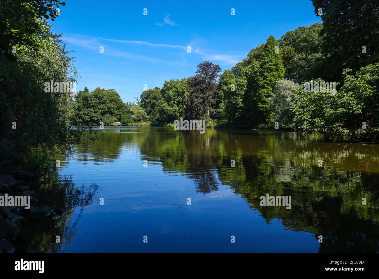 See im Rombergpark, Dortmund, Nordrhein-Westfalen, Deutschland Stockfoto