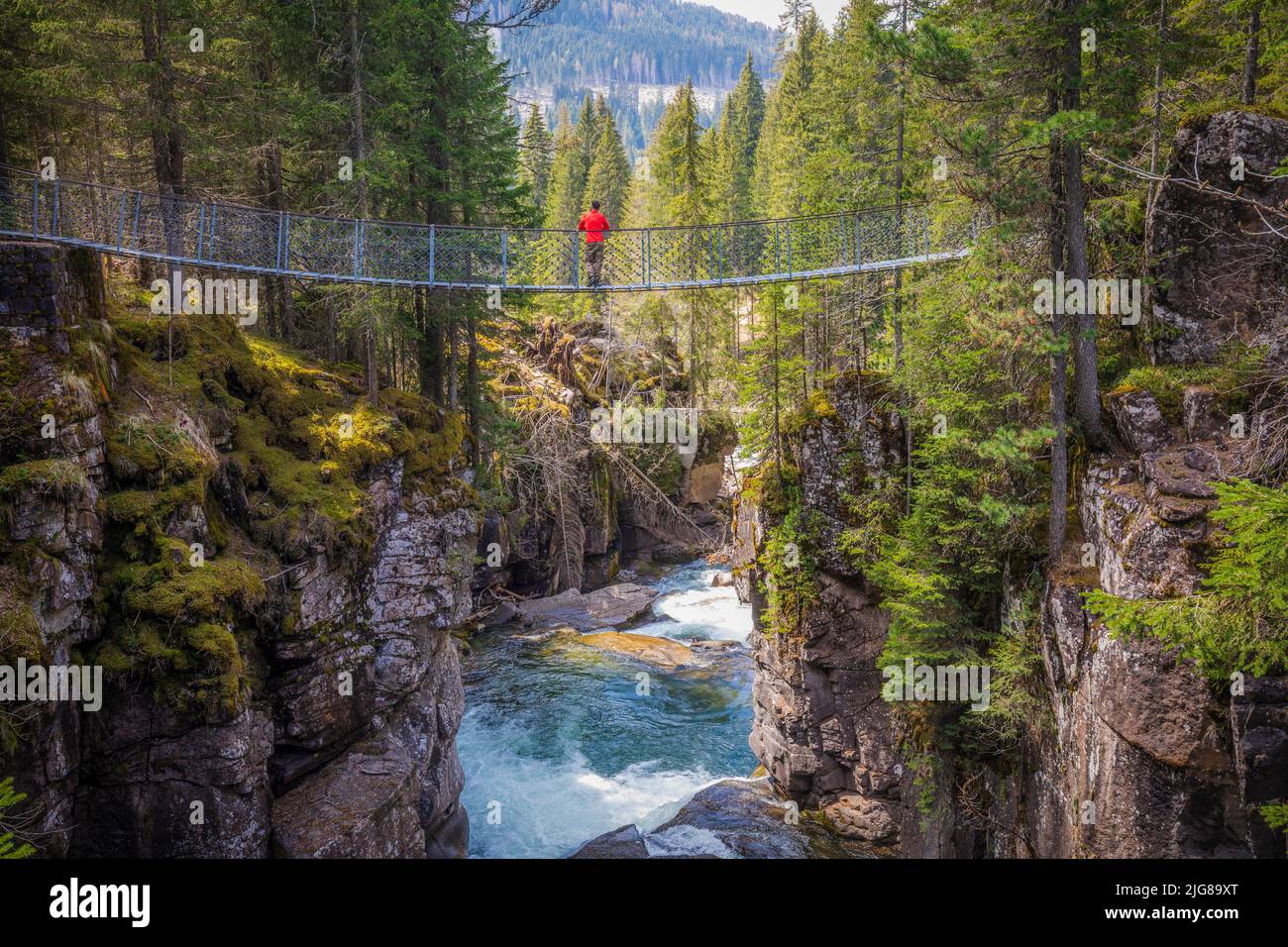Italien, Trentino-Südtirol, Provinz Trient, Naturpark Paneveggio e Pale di San Martino, eine Person, die allein auf der Hängebrücke der Travignolo-Schlucht in den Dolomiten steht Stockfoto