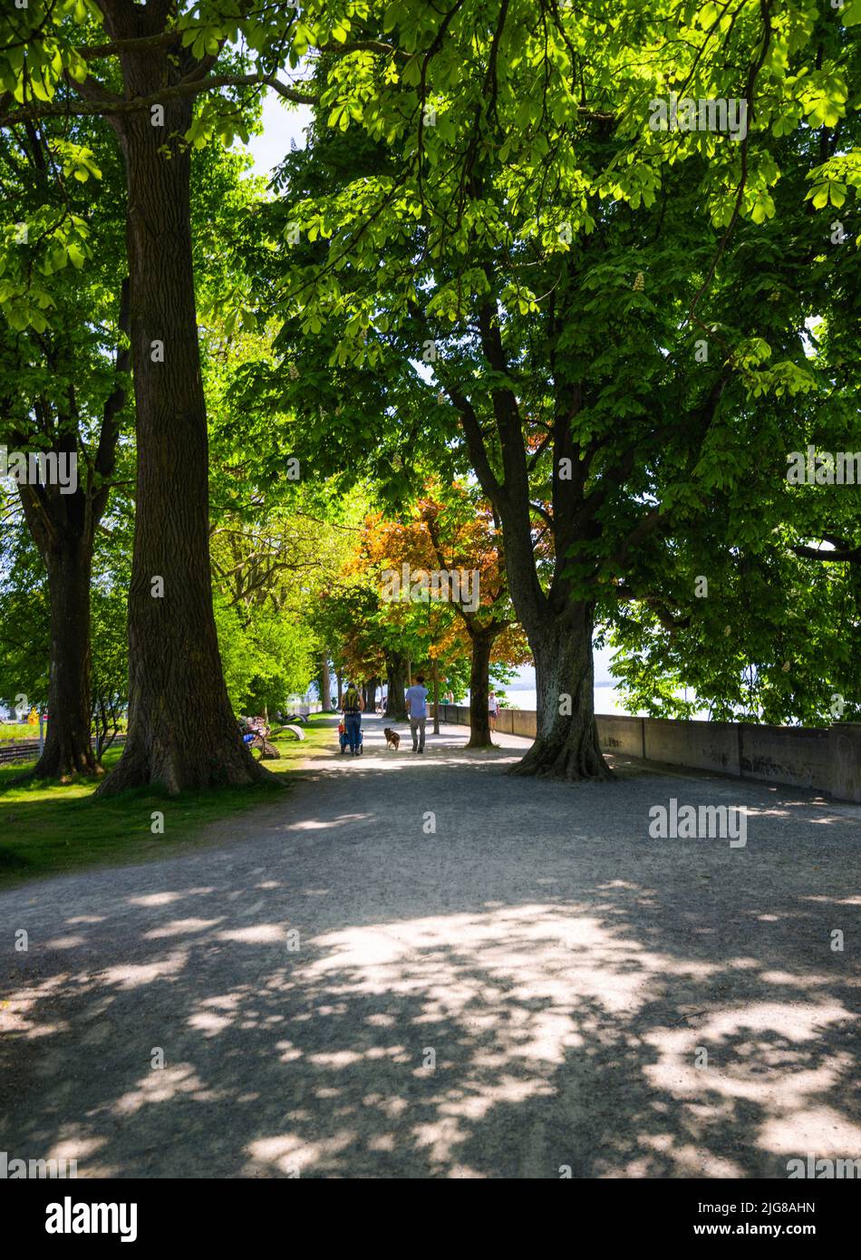 Bodensee, Westansicht vom Park, Lindau Island, Reutin, Schwaben, Deutschland, Europa Stockfoto