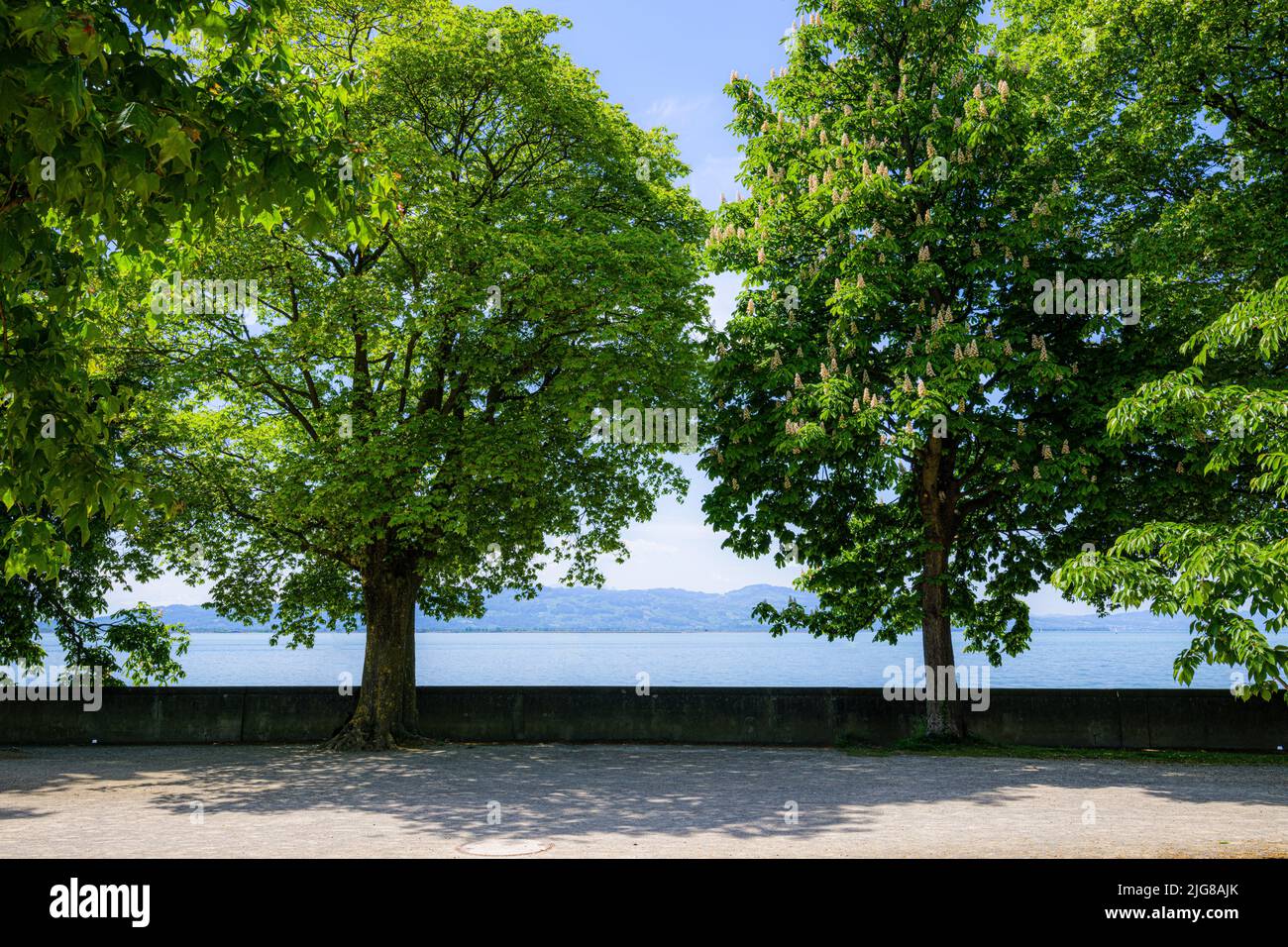 Bodensee, Westansicht vom Park, Lindau Island, Reutin, Schwaben, Deutschland, Europa Stockfoto