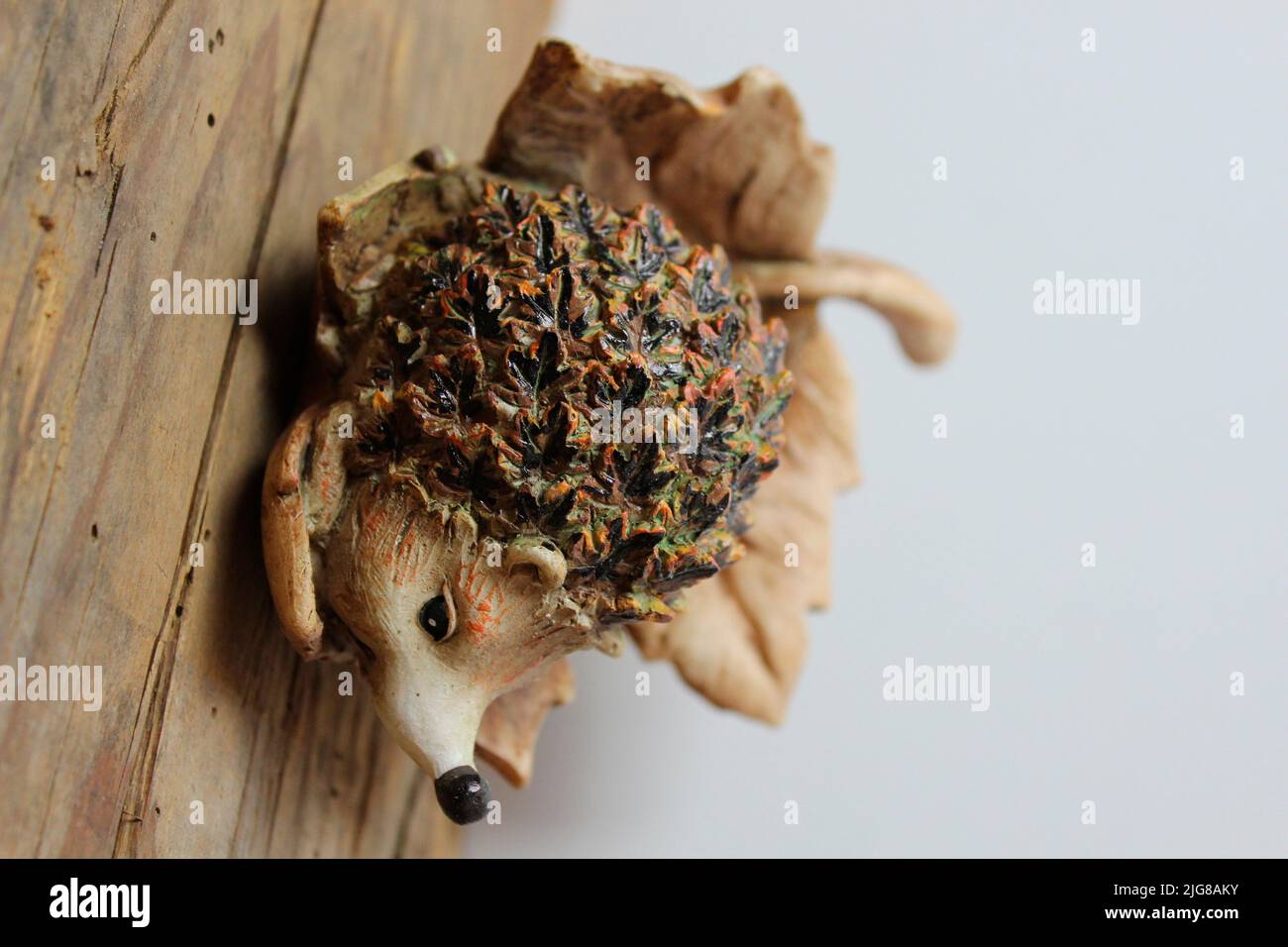 Dekorationskunst Igel auf einem Herbstblatt, stimmungsvoll, Holz, Holzbrett, dekorativ Stockfoto