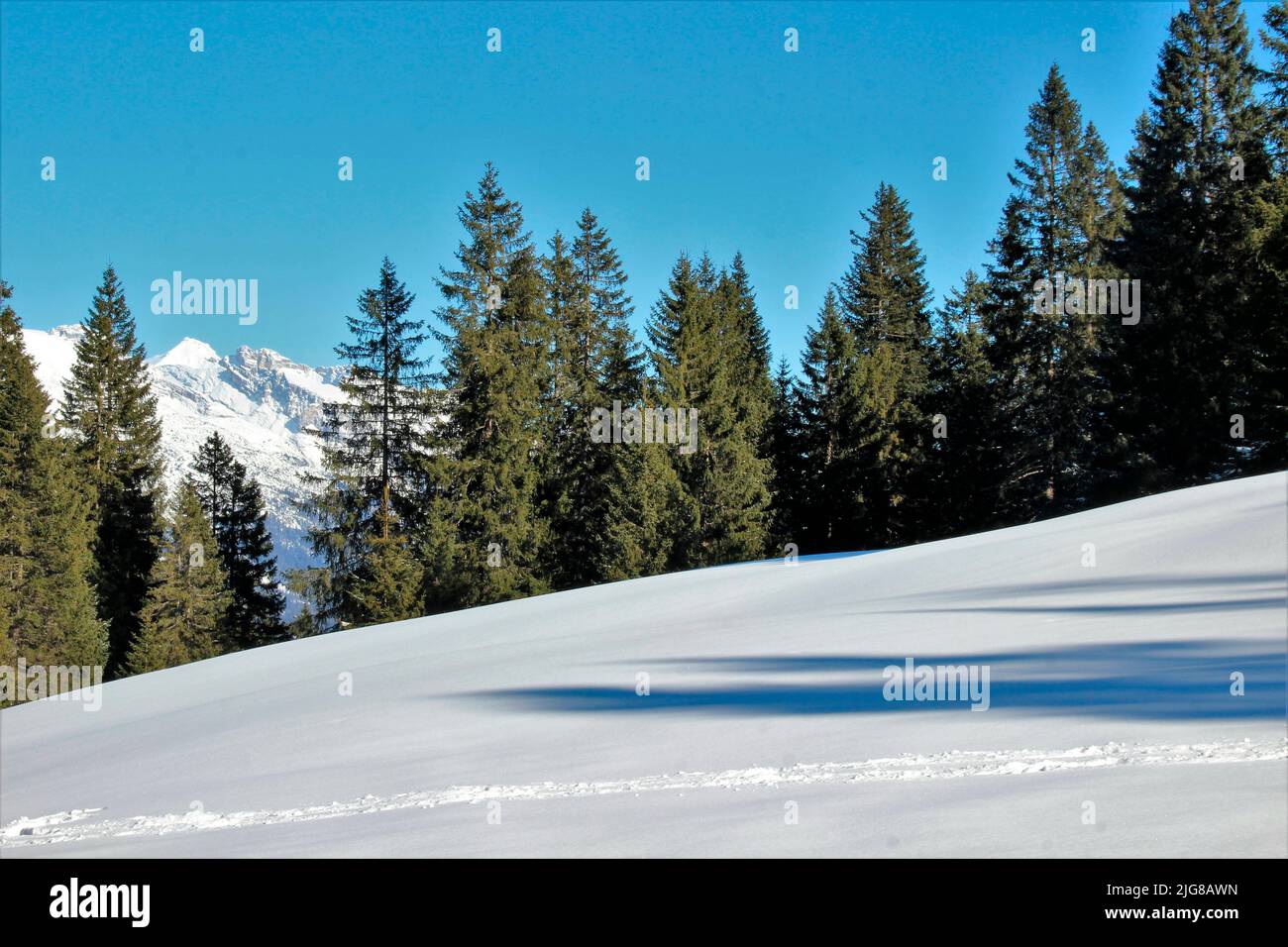 Rodelbahn hoher Sattel, Jägerhütte, Winterlandschaft, Natur, Ahrn, Leutasch, Scharnitz, Seefeld, Tirol, Österreich Stockfoto