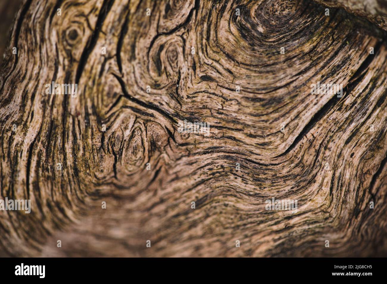 Holz, Maserung, Detail, Stockfoto