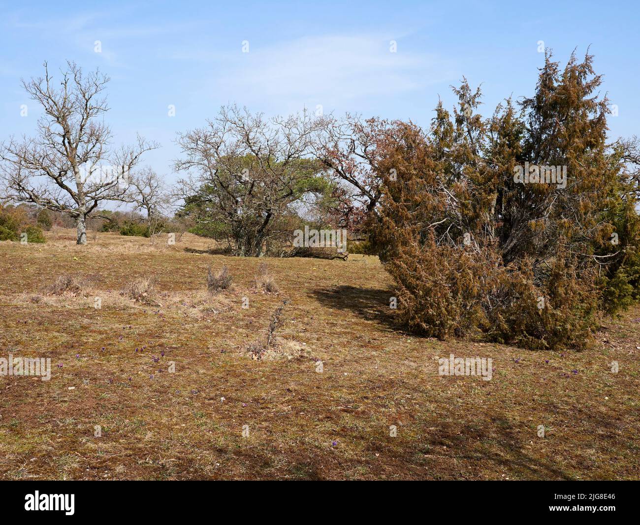 Naturschutzgebiet rammersberg Fotos und Bildmaterial in hoher