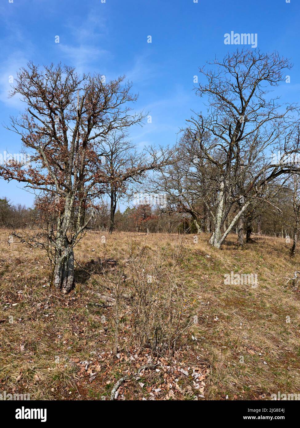 Naturschutzgebiet rammersberg Fotos und Bildmaterial in hoher