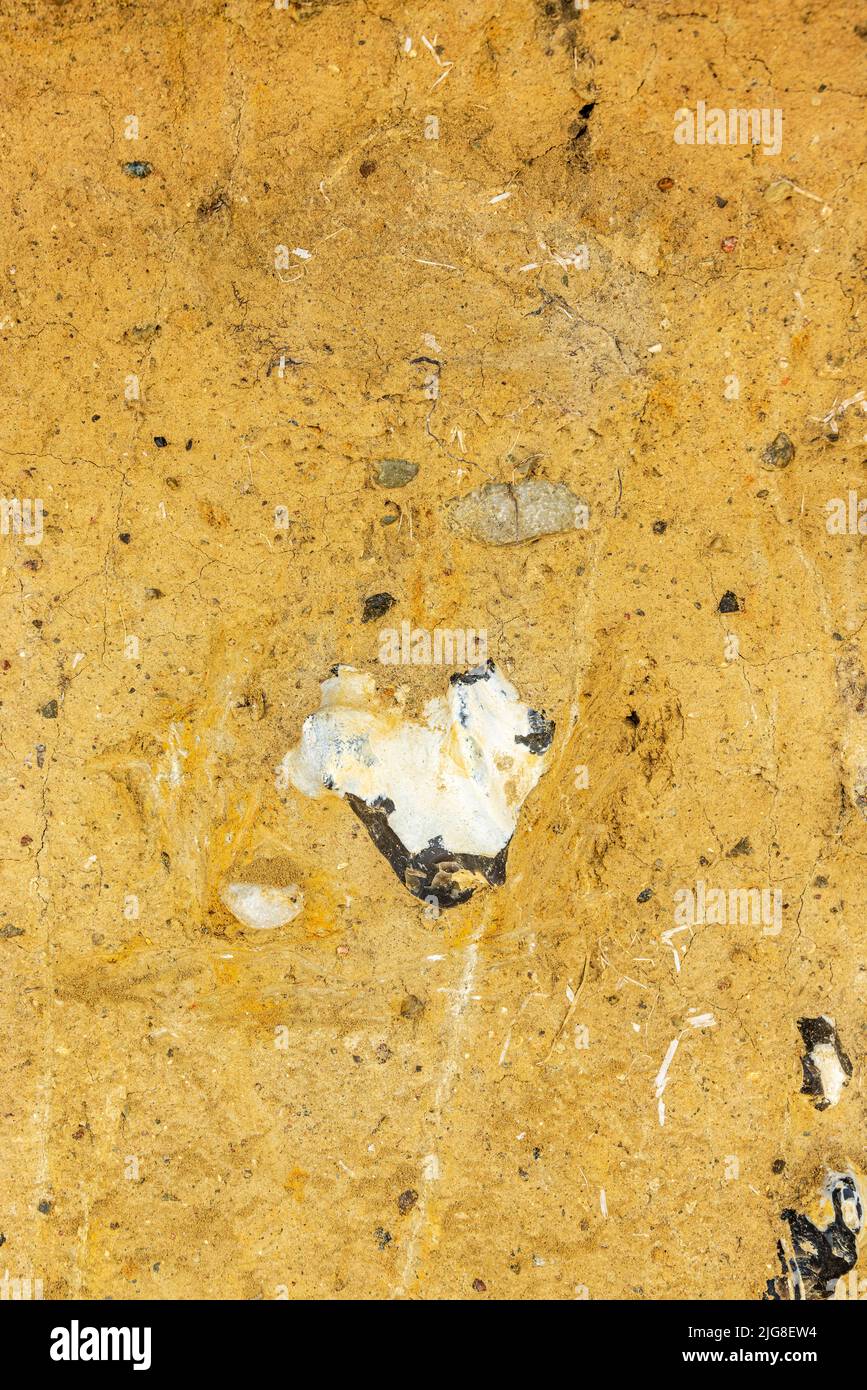 Altefähr, Rügen, Mecklenburg-Vorpommern, Deutschland, Strand, Rock, Muster, Herzform Stockfoto