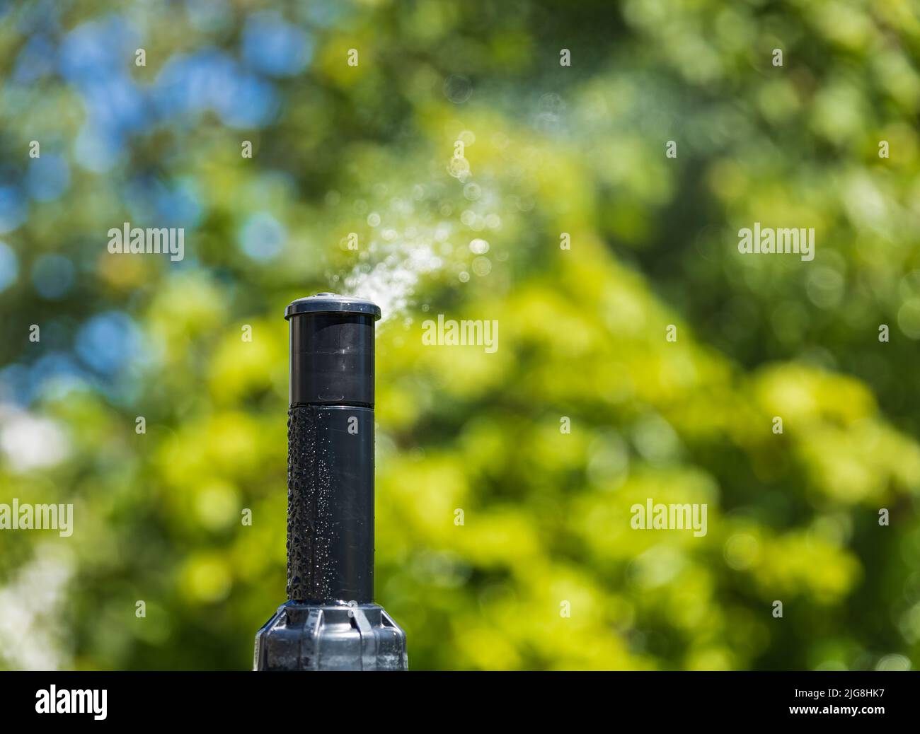 Automatische Sprinkler zur Bewässerung von Gras Bewässerungssysteme Für Den Garten. Bewässerungssystem Bewässerung des grünen Grases. Bewässerung der Sprinkleranlage im Wohngebiet Stockfoto