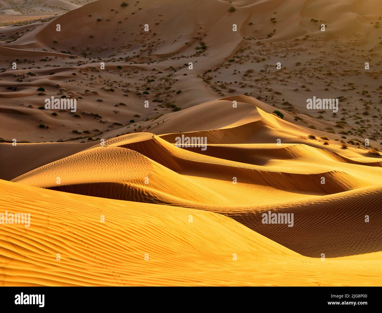 Unterwegs in den Dünen des Rub-al-Khali, Oman. Stockfoto