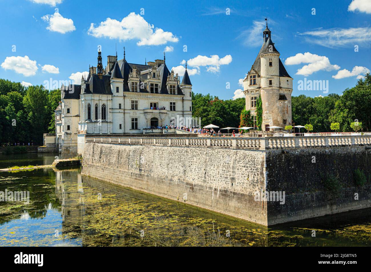 Schloss Chenonceau, Frankreich Stockfoto