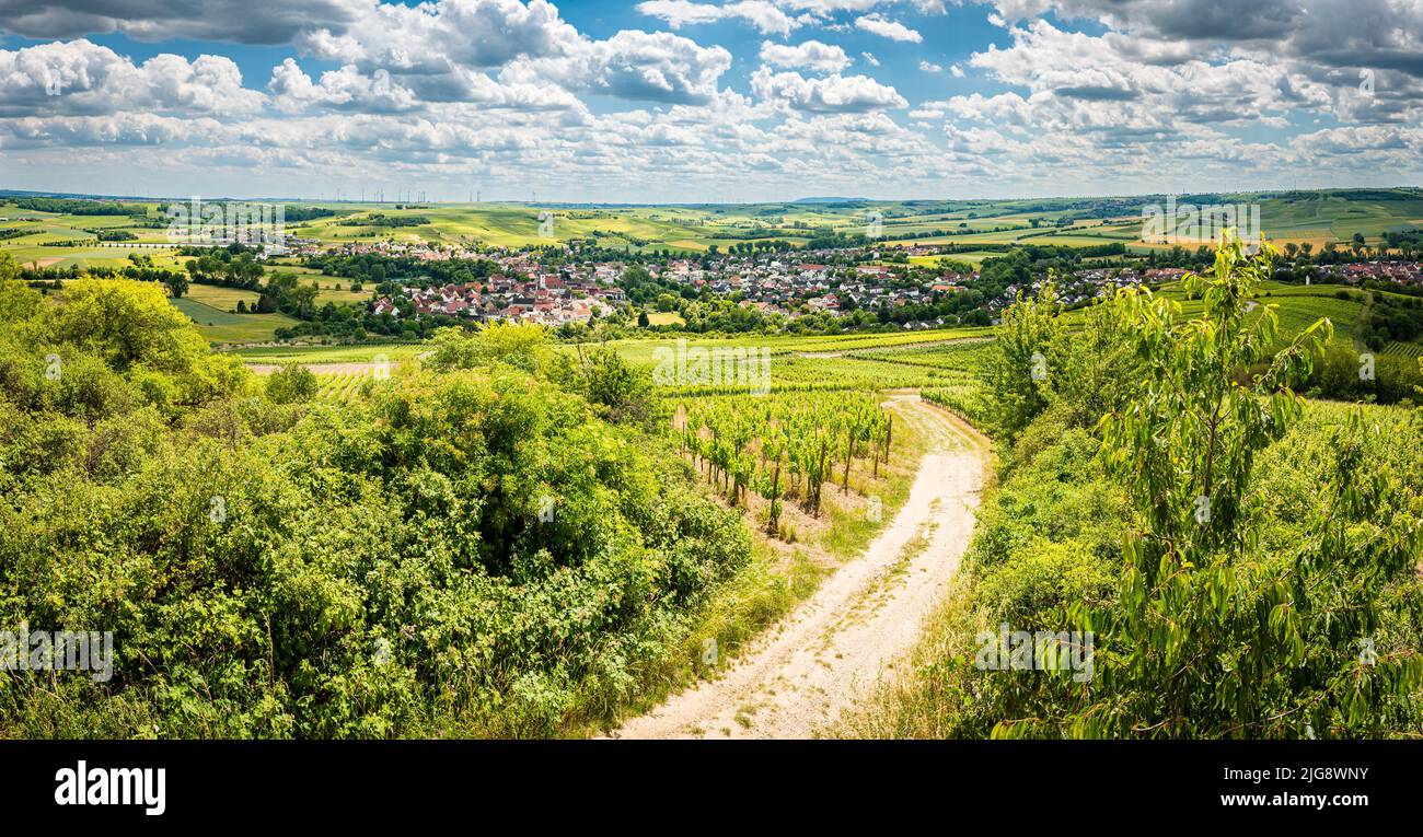 Stadecken-Elsheim (Rheinhessen) vom Hiebergturm aus gesehen, der auf einem Hügel über den Weinbergen steht Stockfoto