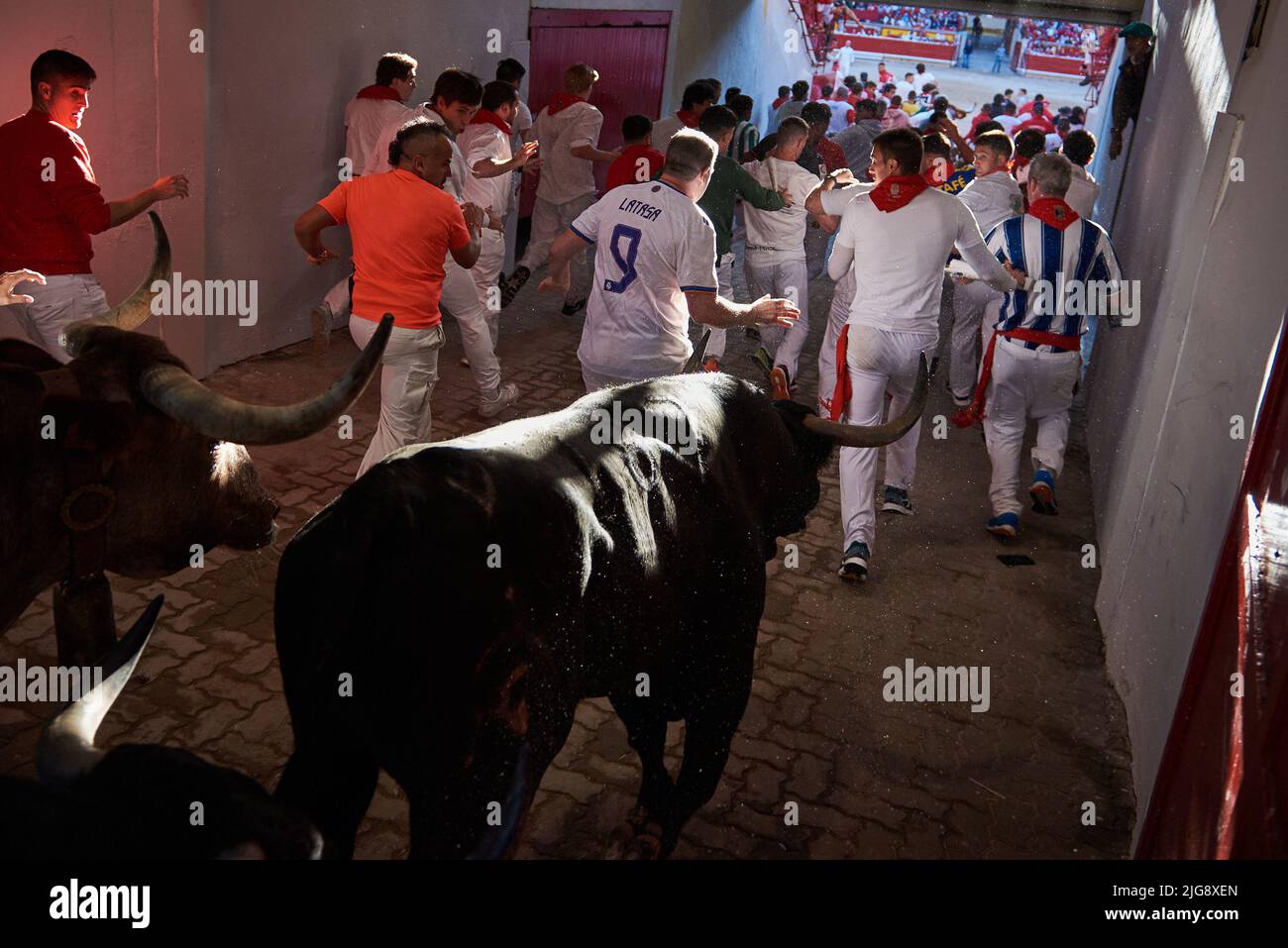 Die Bullen wurden beim zweiten Lauf der Bullen auf der Ranch Fuente ...