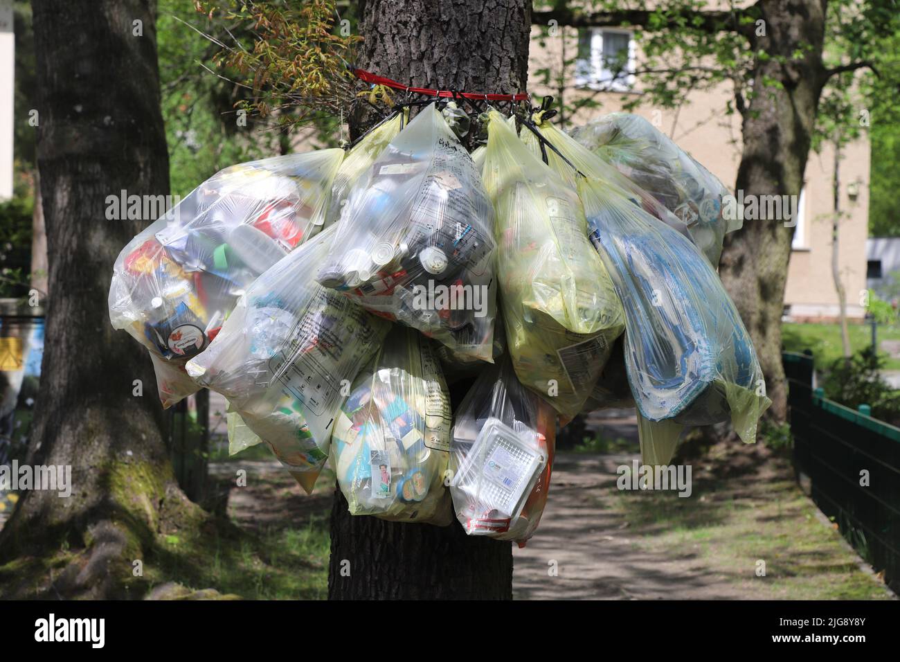 Deutschland, Brandenburg, Potsdam, Müll, Müllsäcke am Baum Stockfoto