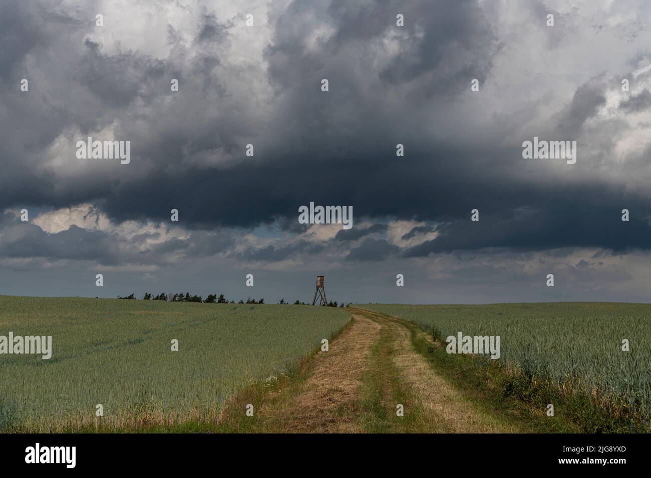 Gewitterwolken über einem Feld. Stockfoto