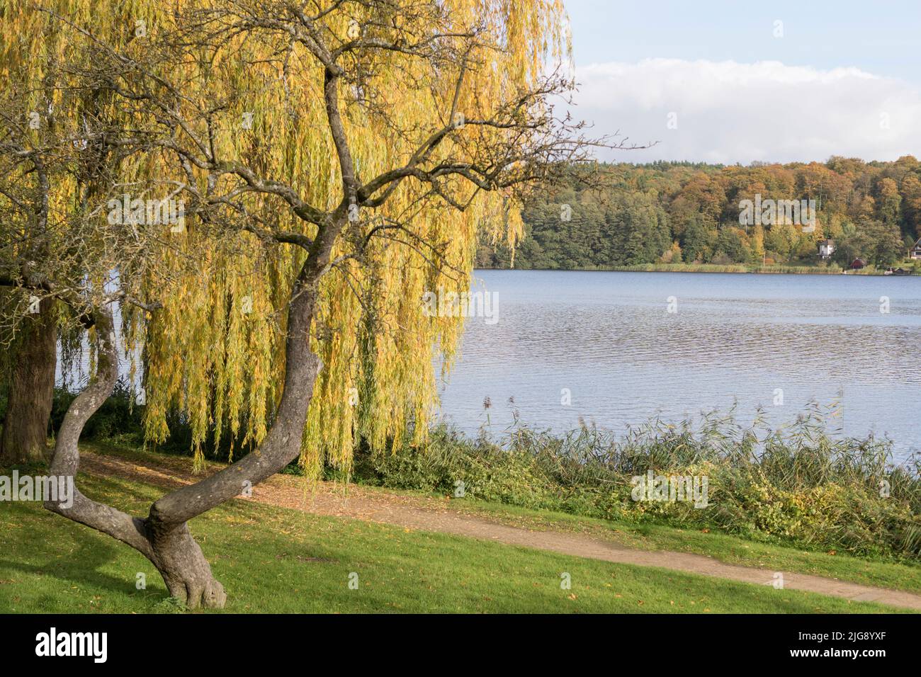 Herbstspaziergang auf dem Ratzeburger See in Ratzeburg, Deutschland. Stockfoto