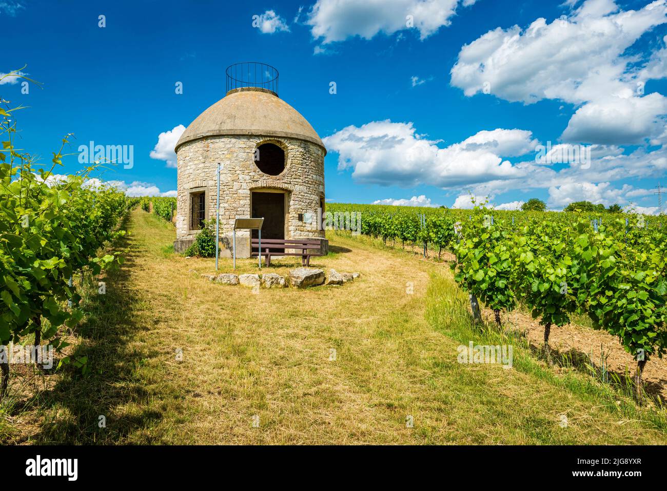 Babo-Hütte in Rheinhessen, ein Häuschen im Weinberg, sogenannter Trullo, in Bezug auf ähnliche Häuschen in Apulien, dient als Unterschlupf für die Winzer bei schlechtem Wetter, Stockfoto