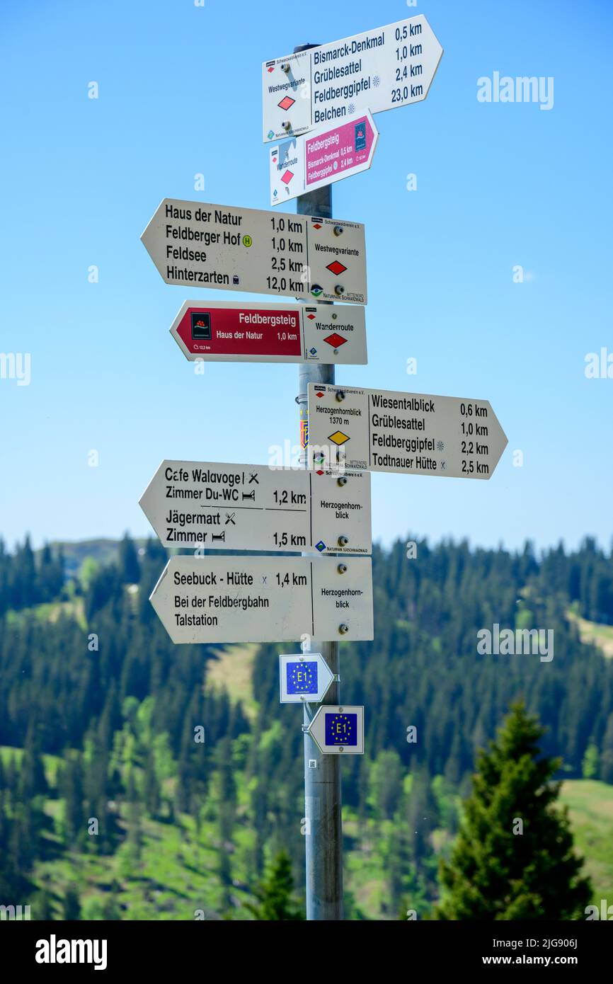 Deutschland, Baden-Württemberg, Schwarzwald, Wegweiser bei Feldberg. Stockfoto