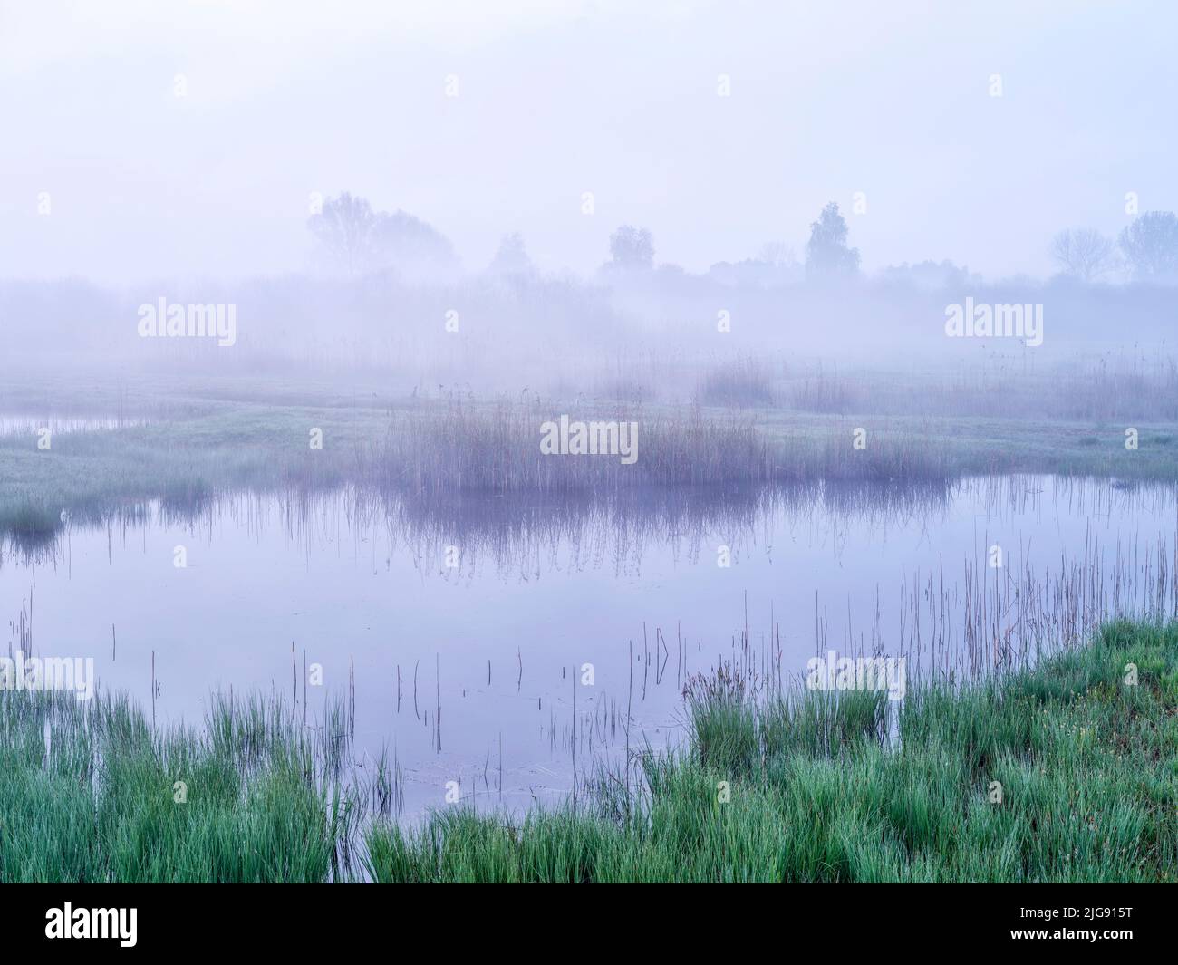 Morgennebel im Naturschutzgebiet Mertinger Hölle. Stockfoto