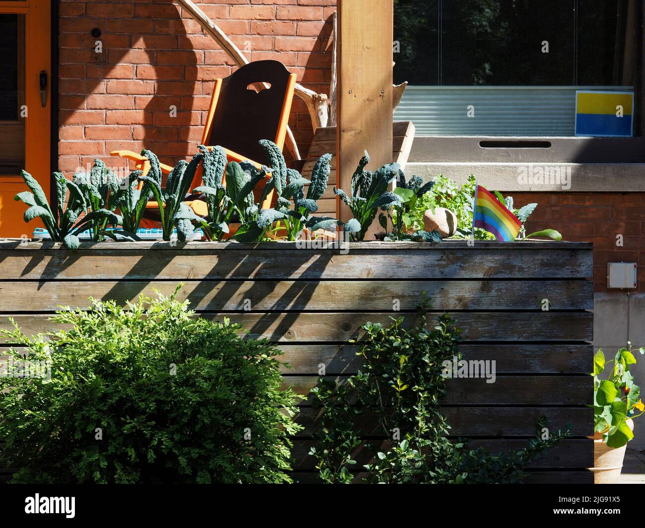 Veranda und Garten eines roten Backsteinhauses in Ottawa, Ontario, Kanada. Kale, Ukraine-Flagge und Pride-Flagge. Stockfoto