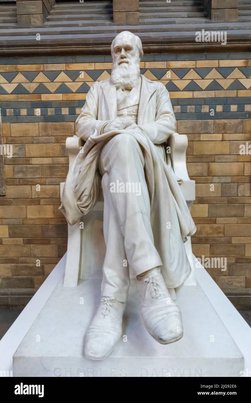 England, London, South Kensington, Natural History Museum, Charles Darwin Statue Stockfoto