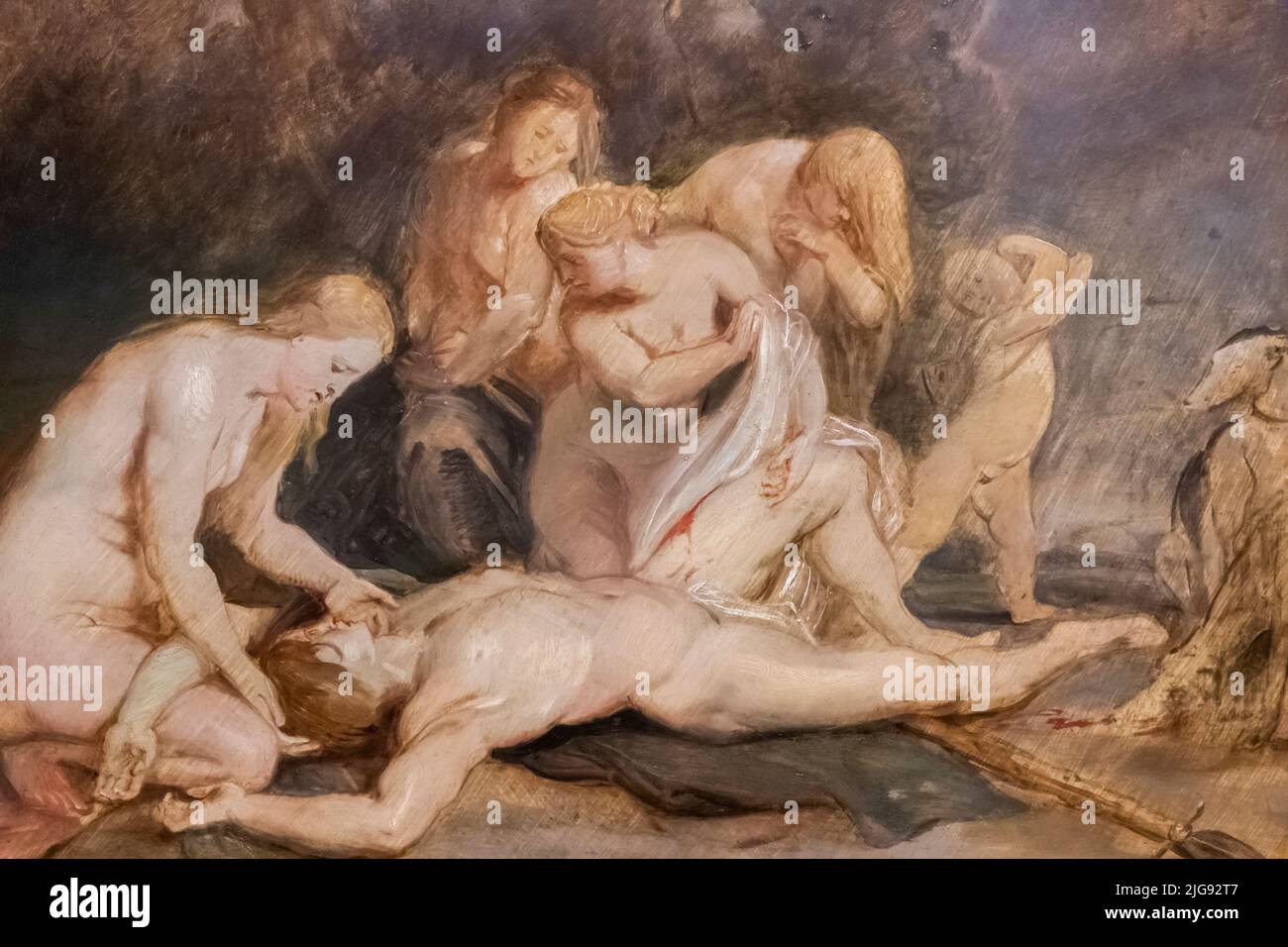 Gemälde mit dem Titel „Venus Mourning Adondris“ von Peter Paul Rubens aus dem Jahr 1604 Stockfoto